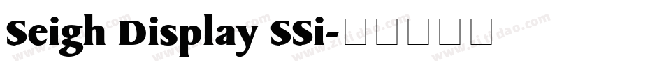 Seigh Display SSi字体转换